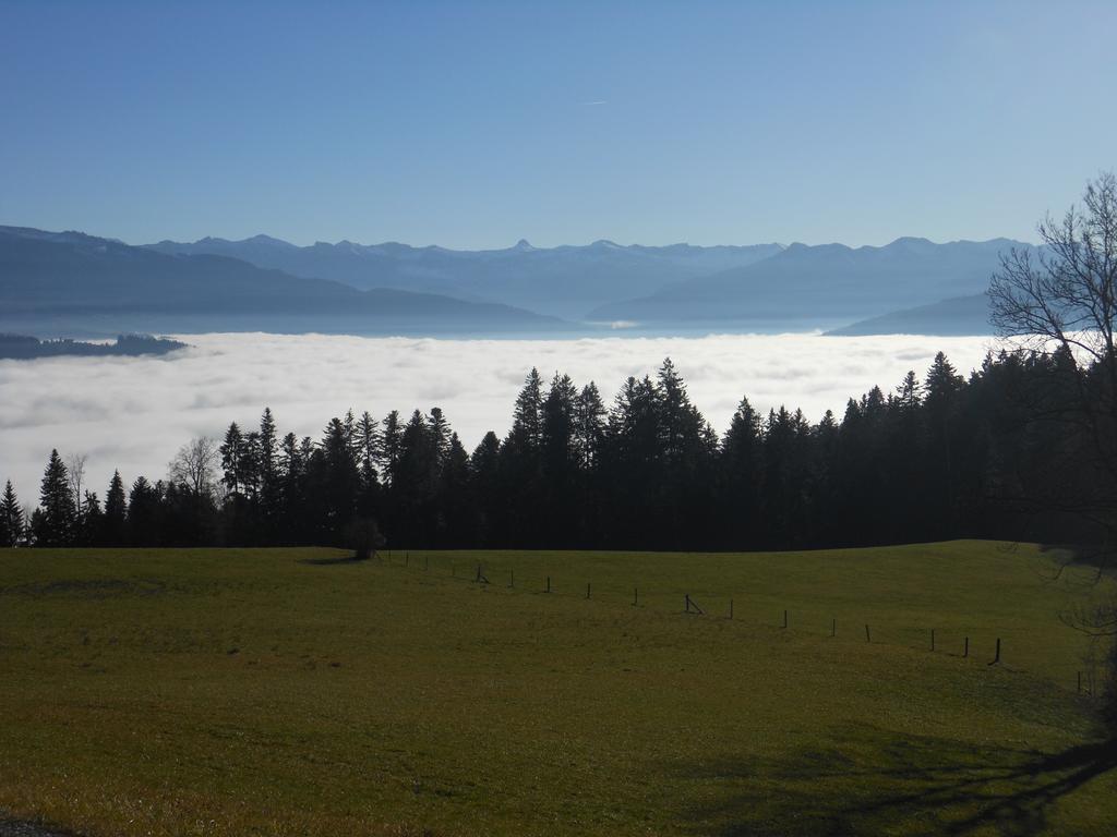 Ferienbauernhof Roth Villa Sulzberg Kültér fotó